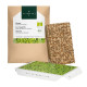BIO microgreen Rukola - Heimgart - náhradní pláty - prodej bio semen na klíčení - 1 ks