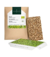 BIO microgreen Rukola - Heimgart - náhradní pláty - prodej bio semen na klíčení - 1 ks