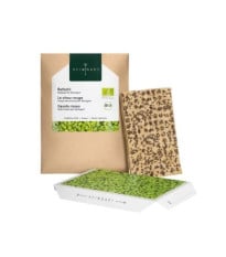 BIO microgreen Červené zelí - náhradní pláty - Heimgart - prodej bio semen na klíčení - 1 ks