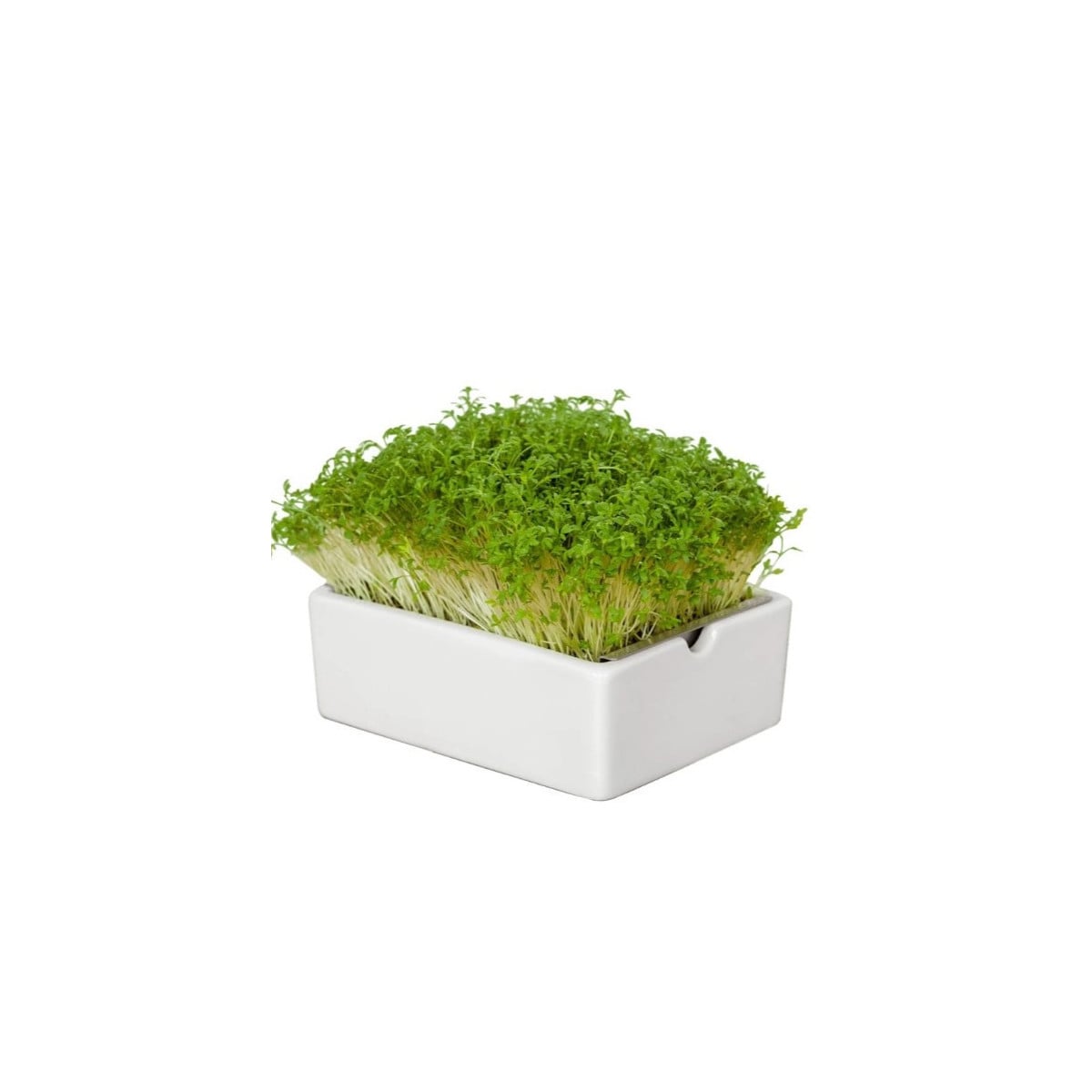 BIO microgreen Řeřicha - náhradní pláty - Heimgart - prodej bio semen na klíčení - 1 ks