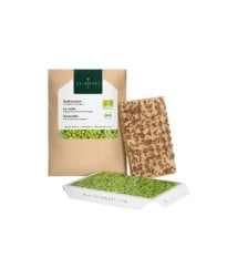 BIO microgreen Ředkvička - náhradní pláty - Heimgart - prodej bio semen na klíčení - 1 ks