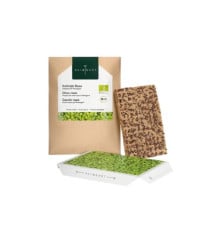 BIO microgreen Kedluben - náhradní pláty - Heimgart - prodej bio semen na klíčení - 1 ks