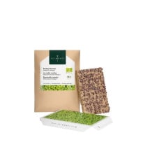 BIO microgreen Ředkvička Rambo - náhradní pláty - Heimgart - prodej bio semen na klíčení - 1 ks
