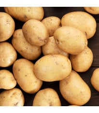 Sadbové brambory Princess - Solanum tuberosum - rané - 5 kg