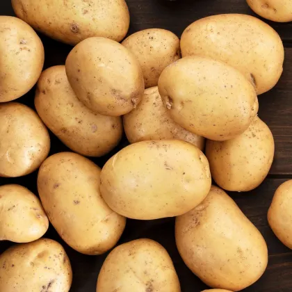 Sadbové brambory Princess - Solanum tuberosum - rané - 5 kg