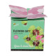 Buzzy Flower Gift - Mini sada pro pěstování čtyřlístku - Pieterpik - prodej sad - 1 ks