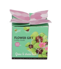 Buzzy Flower Gift - Mini sada pro pěstování čtyřlístku - Pieterpik - prodej sad - 1 ks