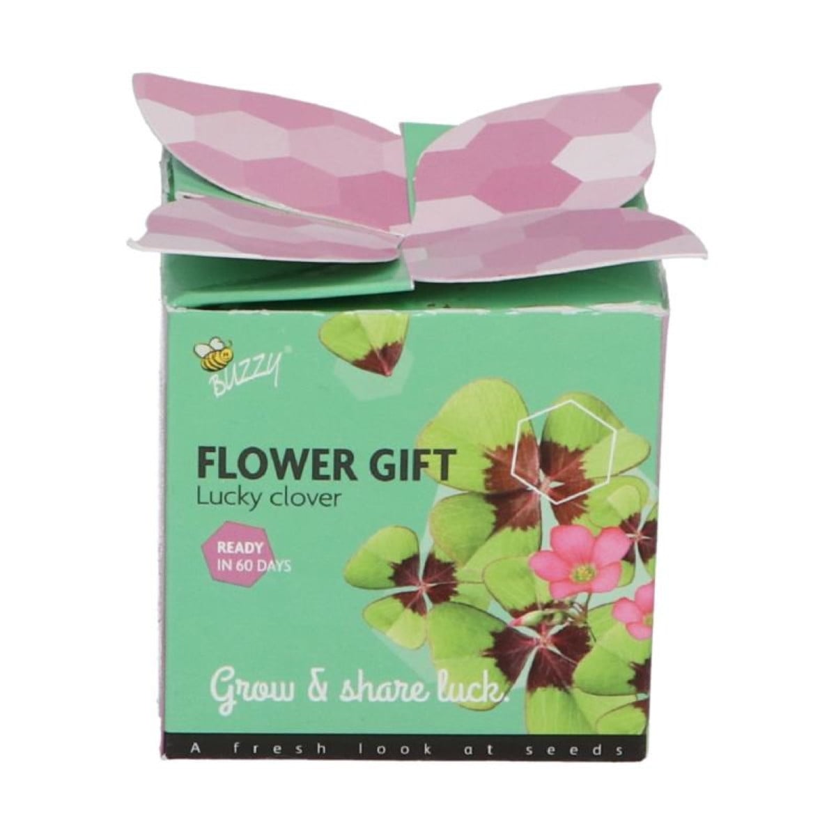 Buzzy Flower Gift - Mini sada pro pěstování čtyřlístku - Pieterpik - prodej sad - 1 ks