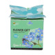 Buzzy Flower Gift - Mini sada pro pěstování pomněnky - Pieterpik - prodej sad - 1 ks