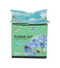Buzzy Flower Gift - Mini sada pro pěstování pomněnky - Pieterpik - prodej sad - 1 ks