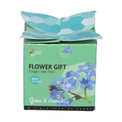 Buzzy Flower Gift - Mini sada pro pěstování pomněnky - Pieterpik - prodej sad - 1 ks