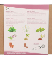 Buzzy Garden Gift - Dárková sada Čajová zahrádka - Pieterpik - prodej sad - 1 balení