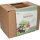 Buzzy Garden Gift - Dárková sada Wellness - Pieterpik - prodej sad - 1 balení