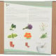 Buzzy Garden Gift - Dárková sada Wellness - Pieterpik - prodej sad - 1 balení