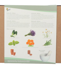 Buzzy Garden Gift - Dárková sada Wellness - Pieterpik - prodej sad - 1 balení