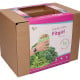 Buzzy Garden Gift - Dárková sada Fit zahrádka - Pieterpik - prodej sad - 1 balení