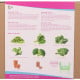 Buzzy Garden Gift - Dárková sada Fit zahrádka - Pieterpik - prodej sad - 1 balení