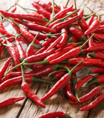 BIO Chilli Piri Piri - Capsicum frutescens - bio osivo chilli - 8 ks