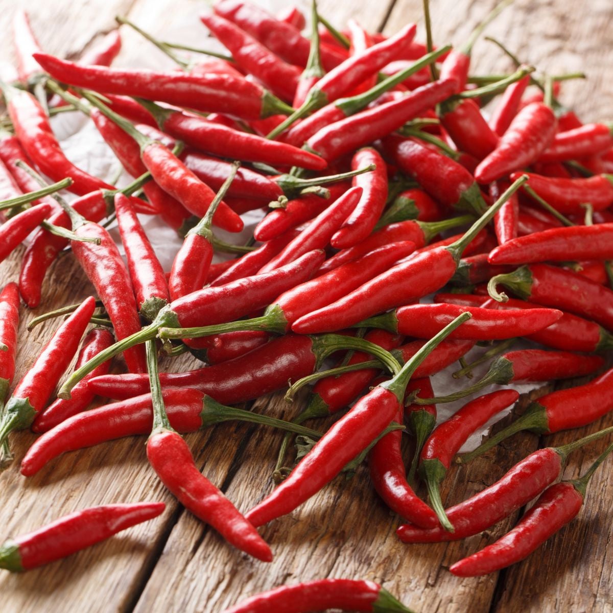 BIO Piri Piri – Capsicum frutescens – semena chilli