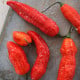 BIO Naga Jolokia – semena extrémně pálivého chilli
