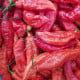 BIO Naga Jolokia – semena extrémně pálivého chilli