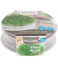 Bio klíčicí miska s rukolou – Buzzy Organic – Pieterpik