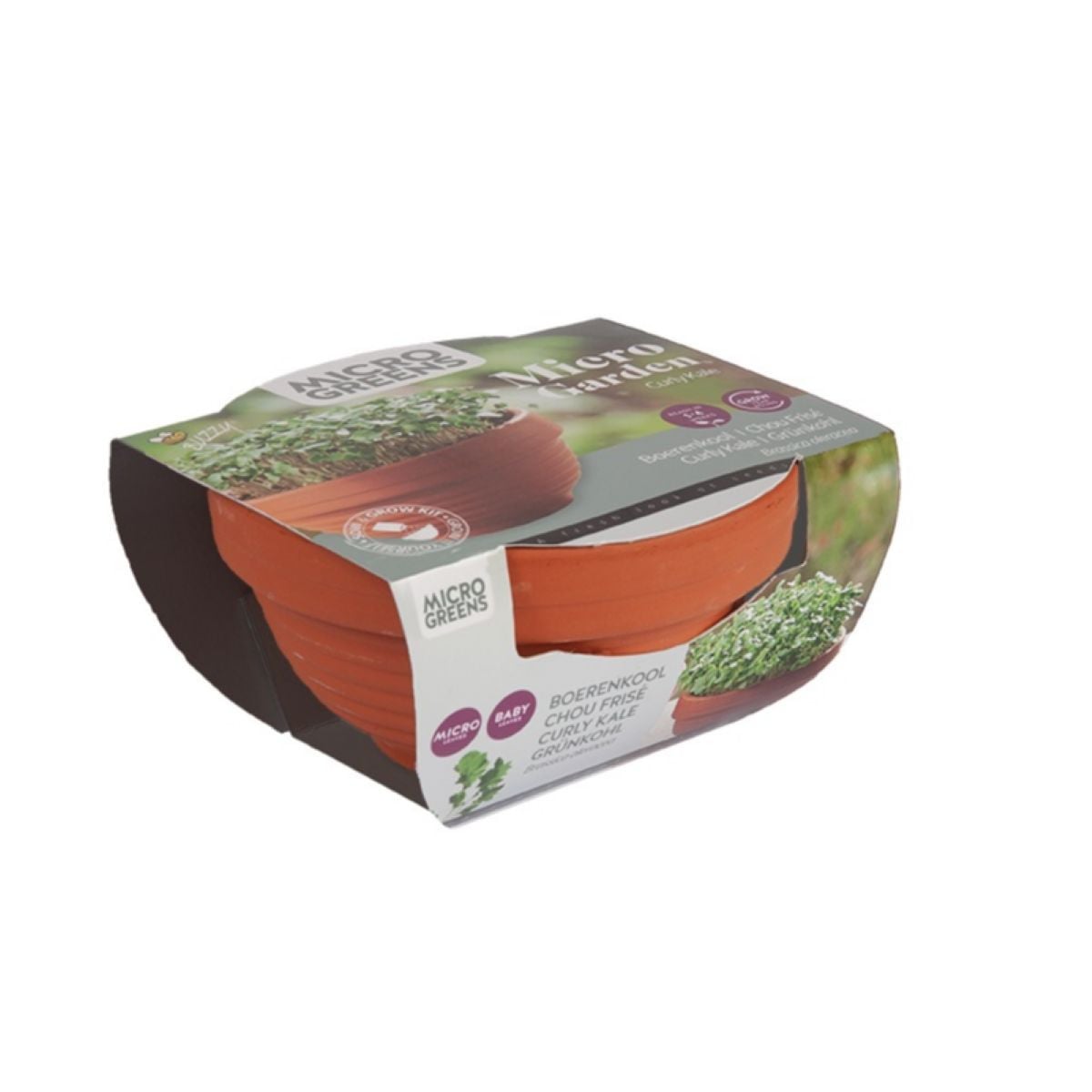 Sada Microgreens kadeřávek s terakotovou miskou Buzzy