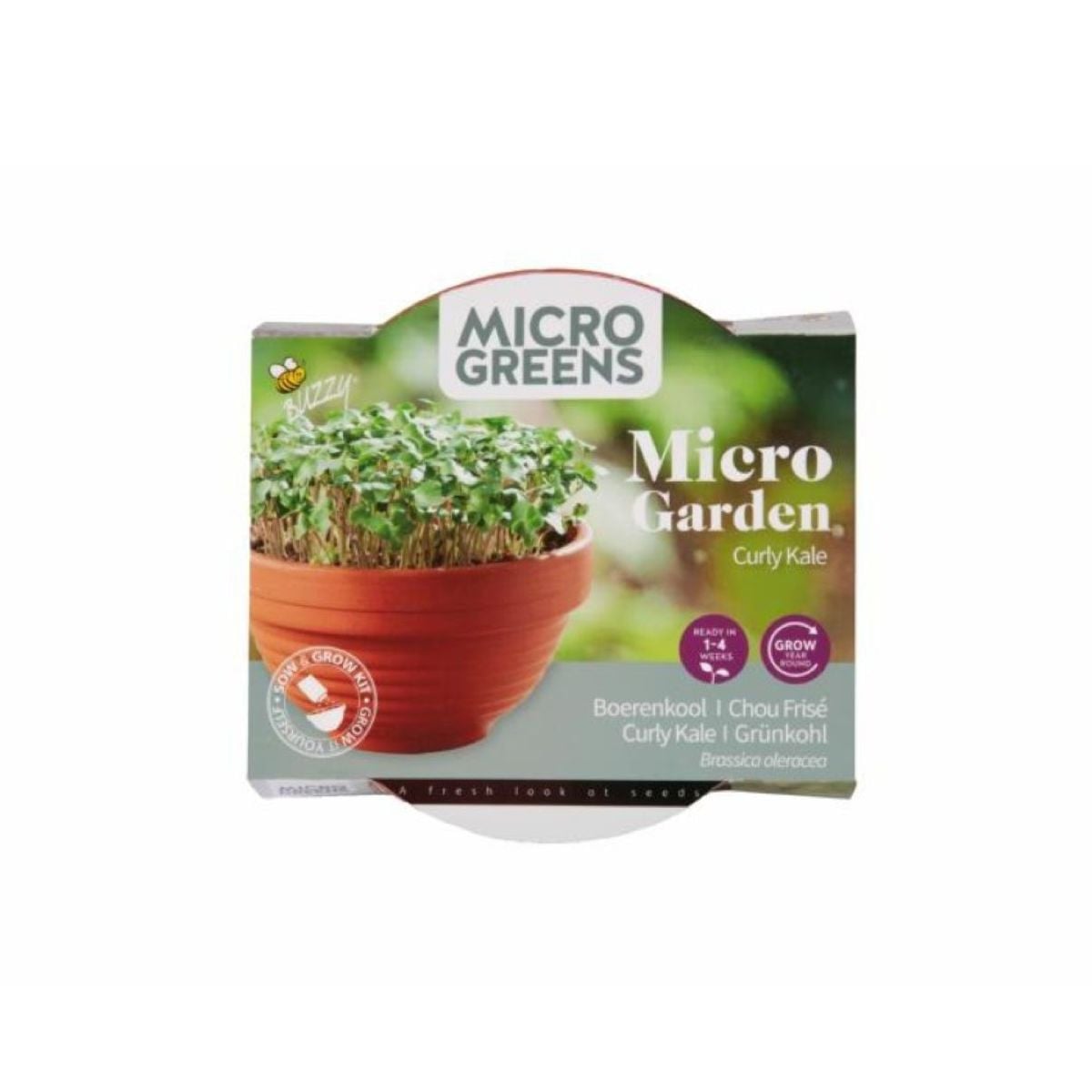 Sada Microgreens kadeřávek s terakotovou miskou Buzzy
