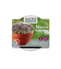 Buzzy Microgreens – červená mizuna v terakotové misce