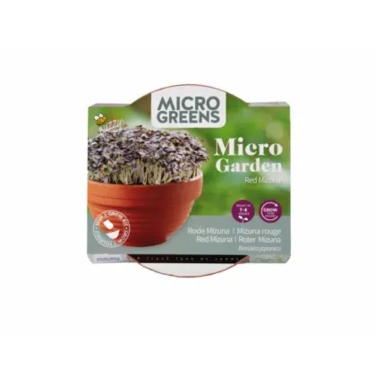 Buzzy Microgreens – červená mizuna v terakotové misce