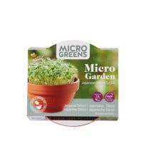 Pěstební sada Microgreens Tatsoi v terakotové misce