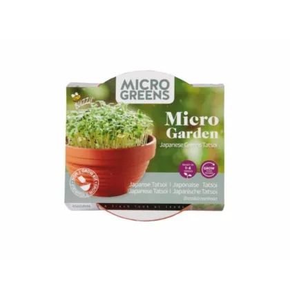 Pěstební sada Microgreens Tatsoi v terakotové misce