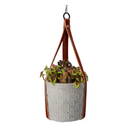 Buzzy House Plants sada k pěstování africké kopřivy
