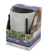Sada k pěstování Aloe Vera v květináči Buzzy House Plants