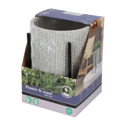Sada k pěstování Aloe Vera v květináči Buzzy House Plants