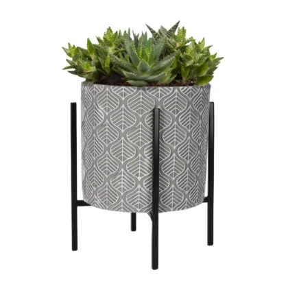 Sada k pěstování Aloe Vera v květináči Buzzy House Plants