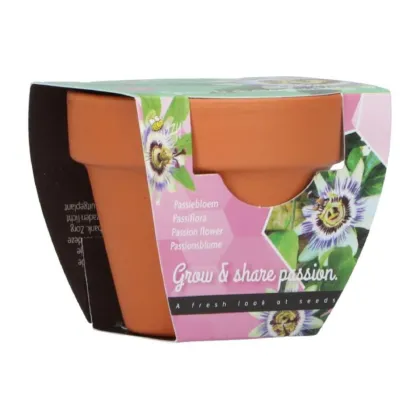 Sada na pěstování mučenky Buzzy Grow Gift Pieterpik