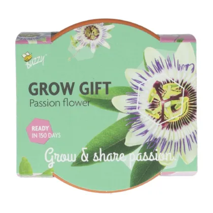 Sada na pěstování mučenky Buzzy Grow Gift Pieterpik