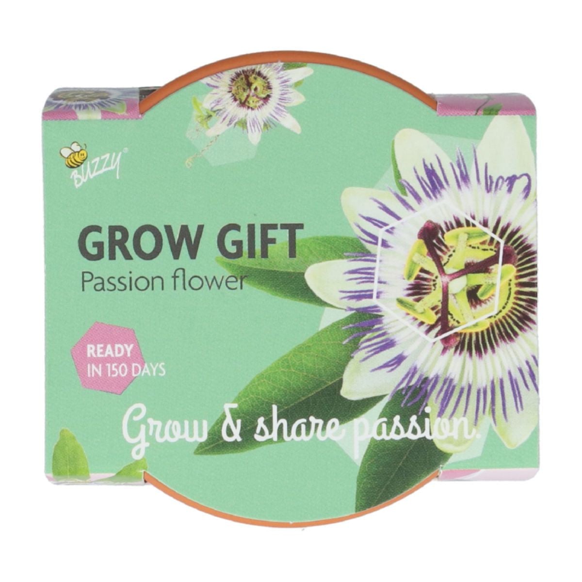Sada na pěstování mučenky Buzzy Grow Gift Pieterpik