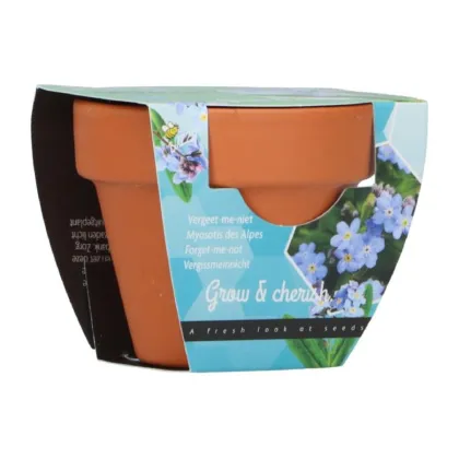 Mini pěstební sada pomněnky – Buzzy Grow Gift – Pieterpik