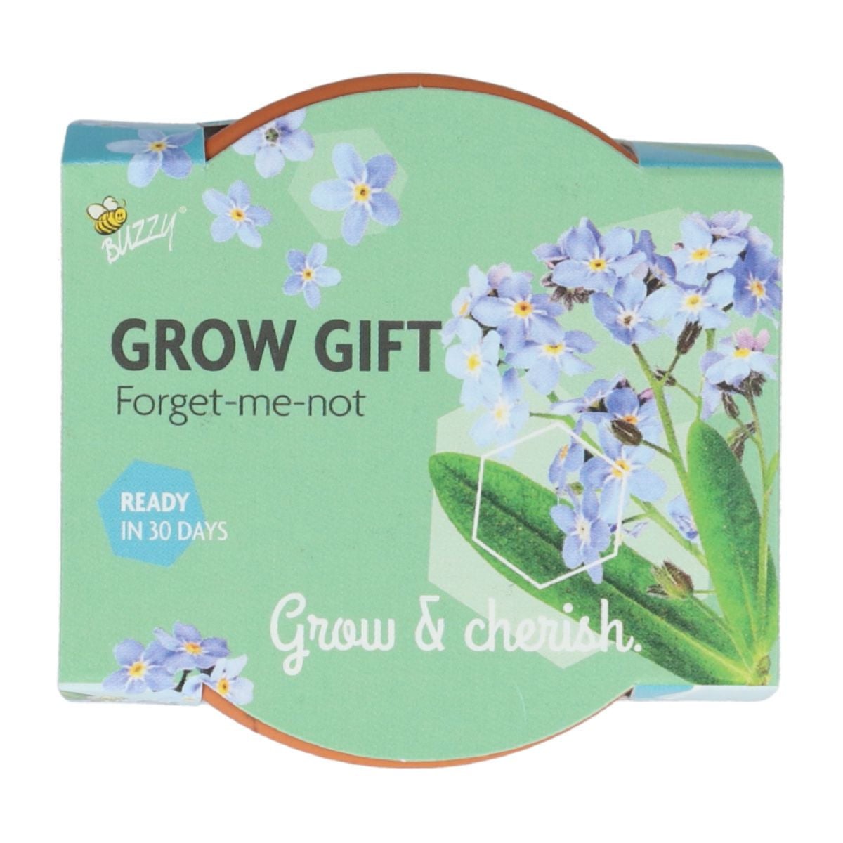 Mini pěstební sada pomněnky – Buzzy Grow Gift – Pieterpik