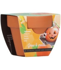 Pěstební mini sada s dýní – Buzzy Grow Gifts – Pieterpik
