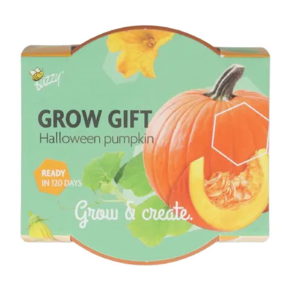 Pěstební mini sada s dýní – Buzzy Grow Gifts – Pieterpik