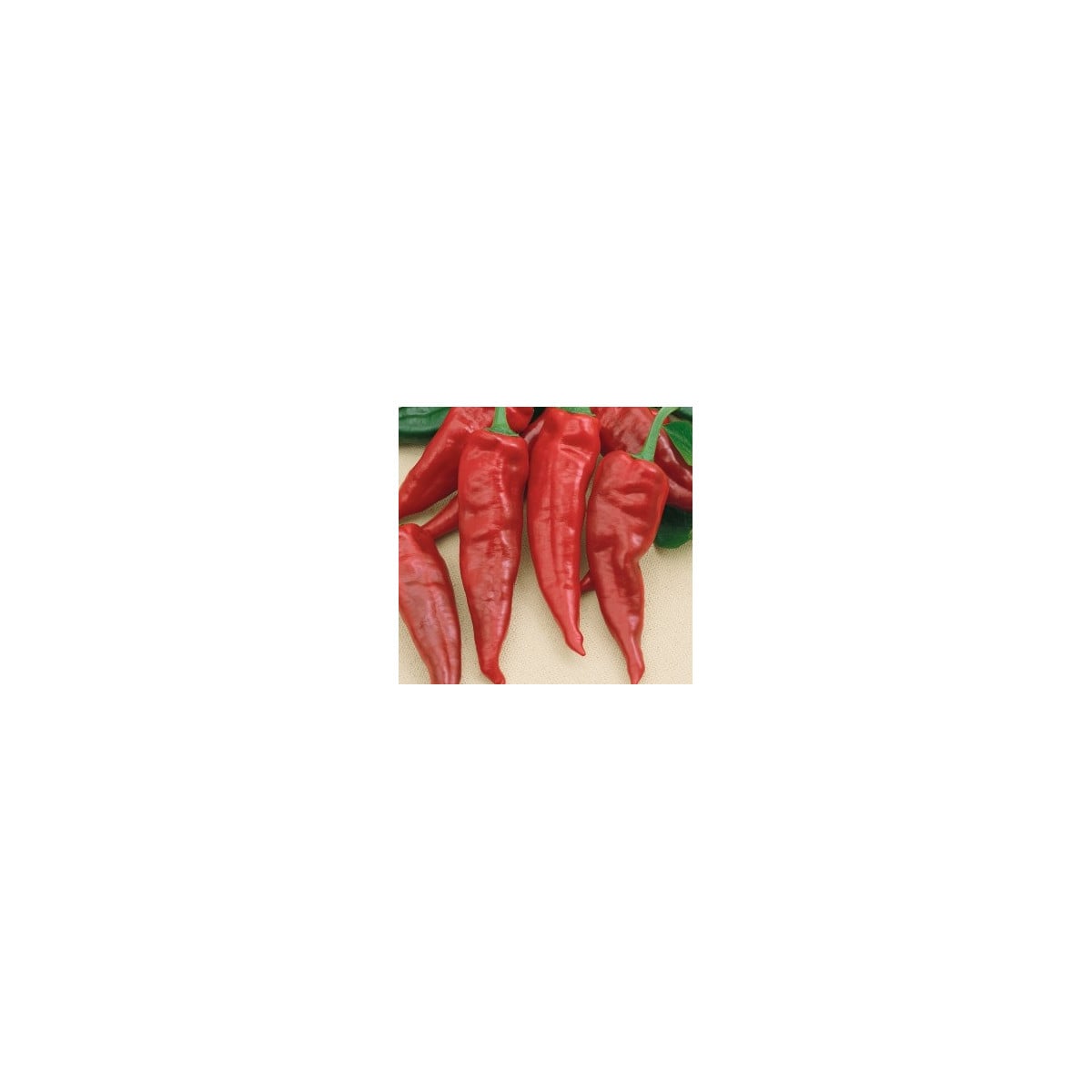 Semínka papriky - Capsicum annuum - Paprika kořeninová Vulkan - prodej semen - 10 ks