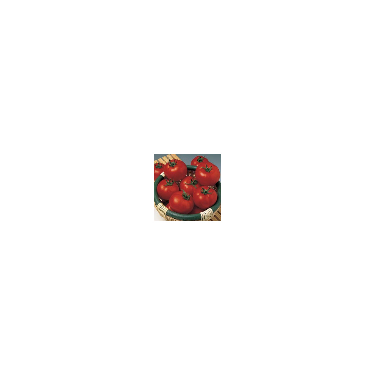 Rajče Salus - Solanum lycopersicum L. - semena - 0,2 g