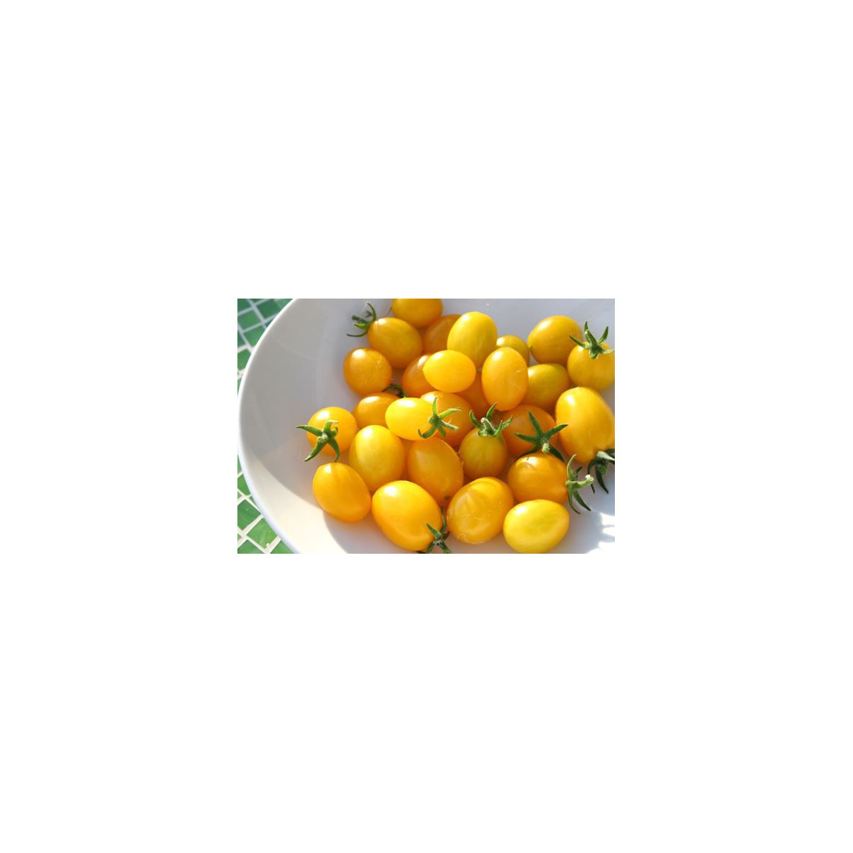 Rajče Ildi - Solanum lycopersicum - prodej semen - 0,1 g