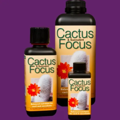 Cactus focus hnojivo pro kaktusy - 300 ml