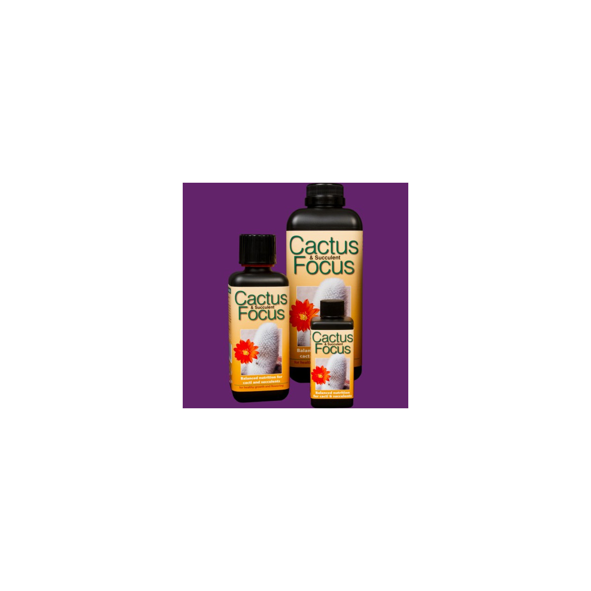Cactus focus hnojivo pro kaktusy - 300 ml