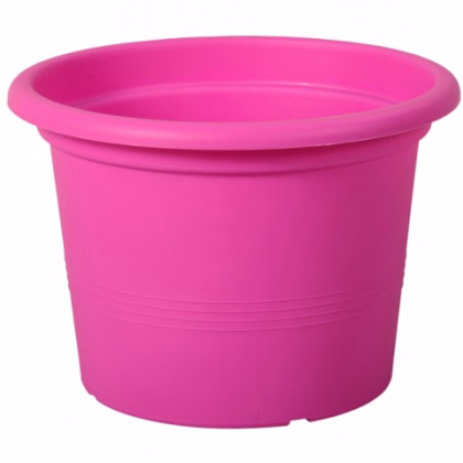 Květník růžový Campanula - d15 x 11 cm - 1 ks