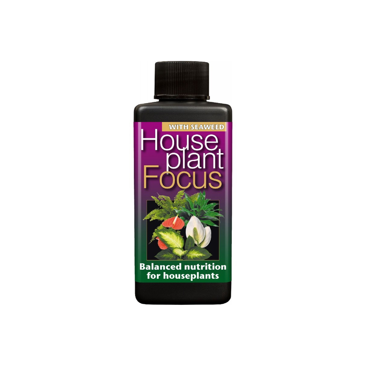House Plant Focus - Hnojivo - 100 ml